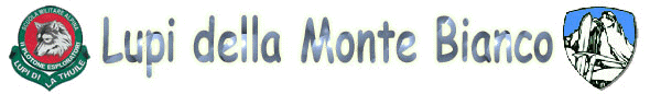 Ruitor Testata no sfond.jpg (26366 byte)