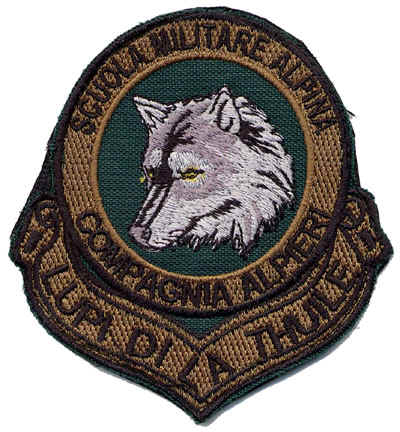 Scratchpicc.jpg (88406 byte)