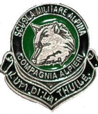 distintivo.jpg (42632 byte)