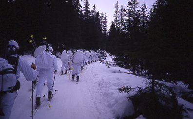 Alpini1.jpg (22726 byte)