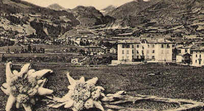 figundio2.jpg (65527 byte)